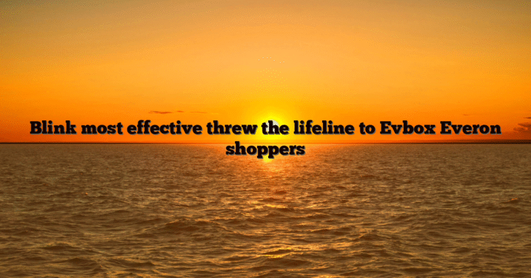 Blink most effective threw the lifeline to Evbox Everon shoppers