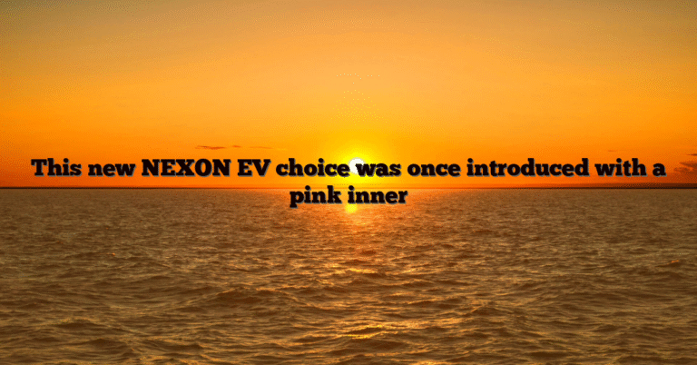This new NEXON EV choice was once introduced with a pink inner